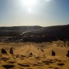 people on desert during daytime